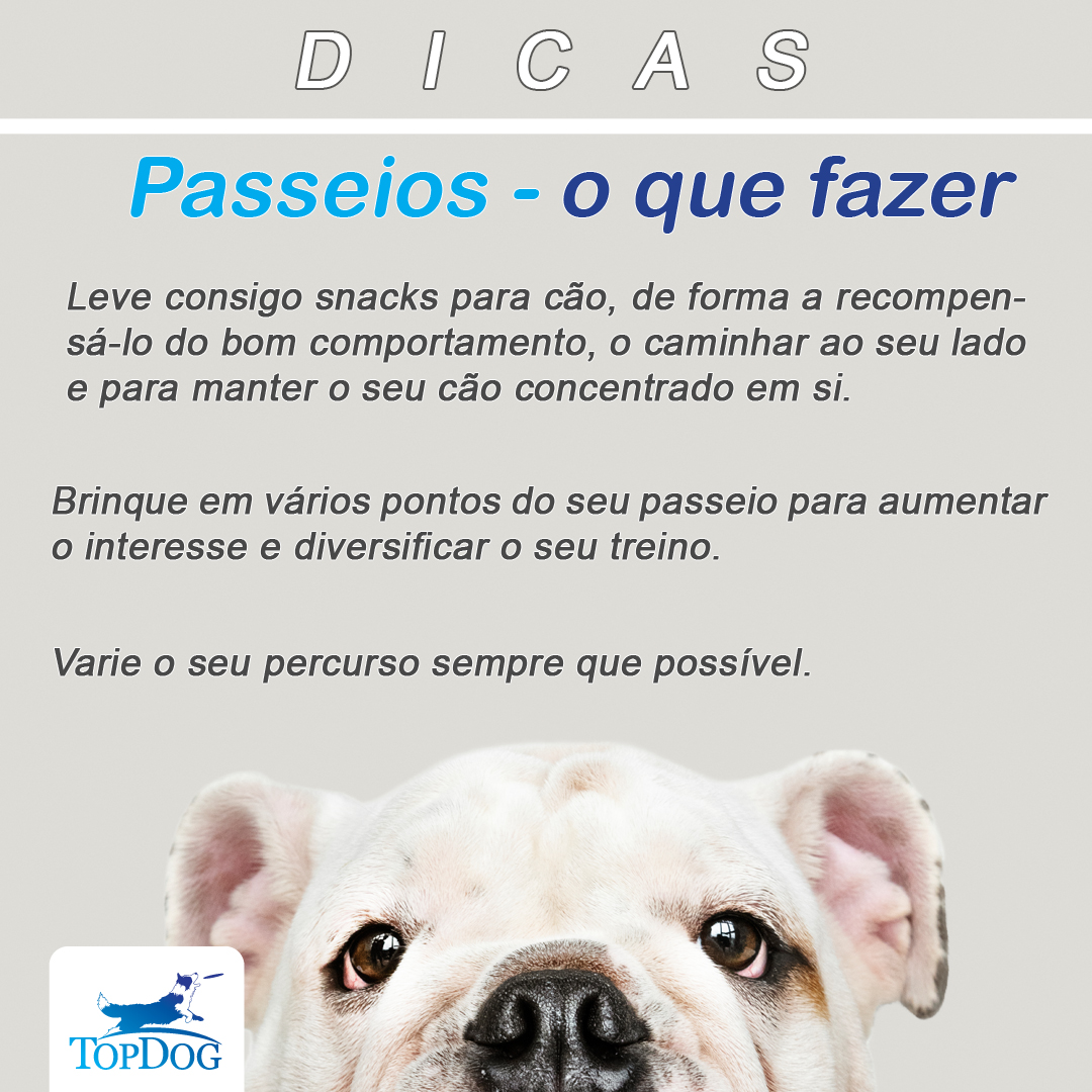 Passeios - O que fazer Passeios - O que fazer
